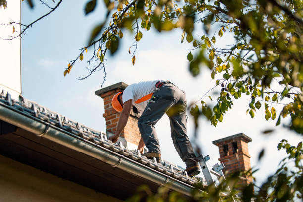 Best Tile Roofing Contractor  in Trinity, NC