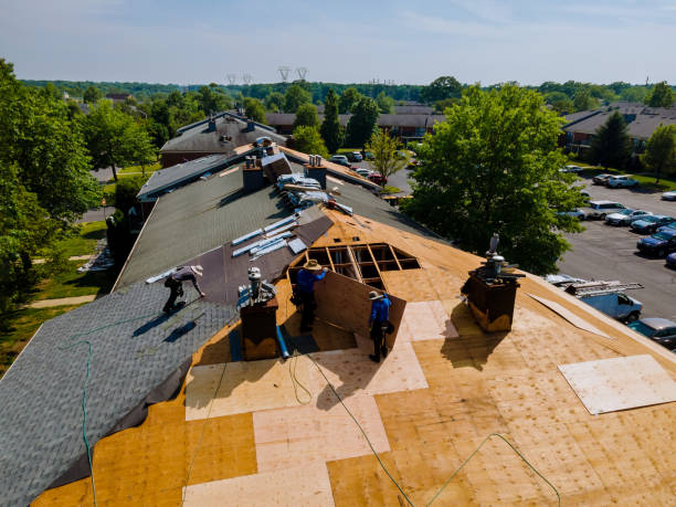 Best Storm Damage Roof Repair  in Trinity, NC