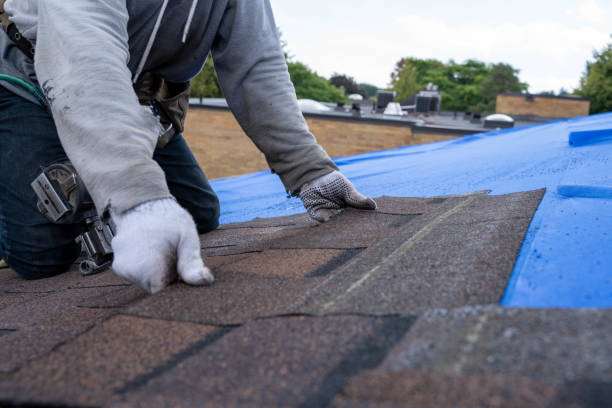 Quick and Trustworthy Emergency Roof Repair Services in Trinity, NC