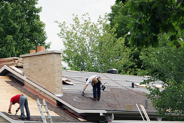 Best Roof Gutter Cleaning  in Trinity, NC