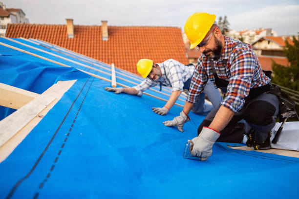 Best Roofing Contractor Near Me  in Trinity, NC