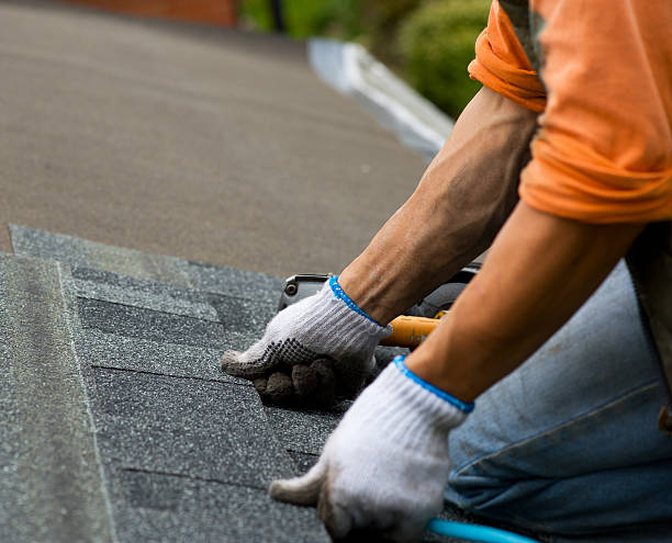 Best Roof Leak Repair  in Trinity, NC