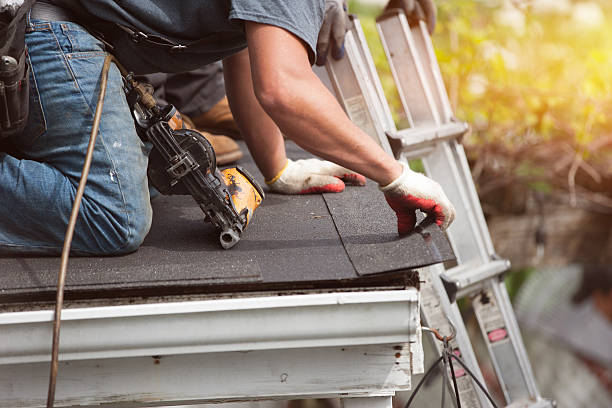 Best Roofing Contractor Near Me  in Trinity, NC