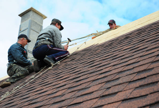 Best Roof Waterproofing Services  in Trinity, NC