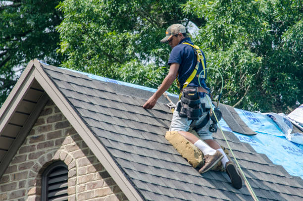 Best Gutter Installation and Roofing  in Trinity, NC